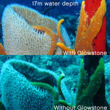 underwater photography comparison